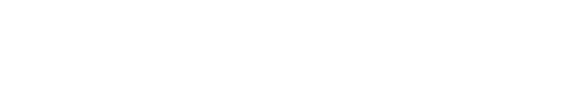 WorkStandard Footer Logo